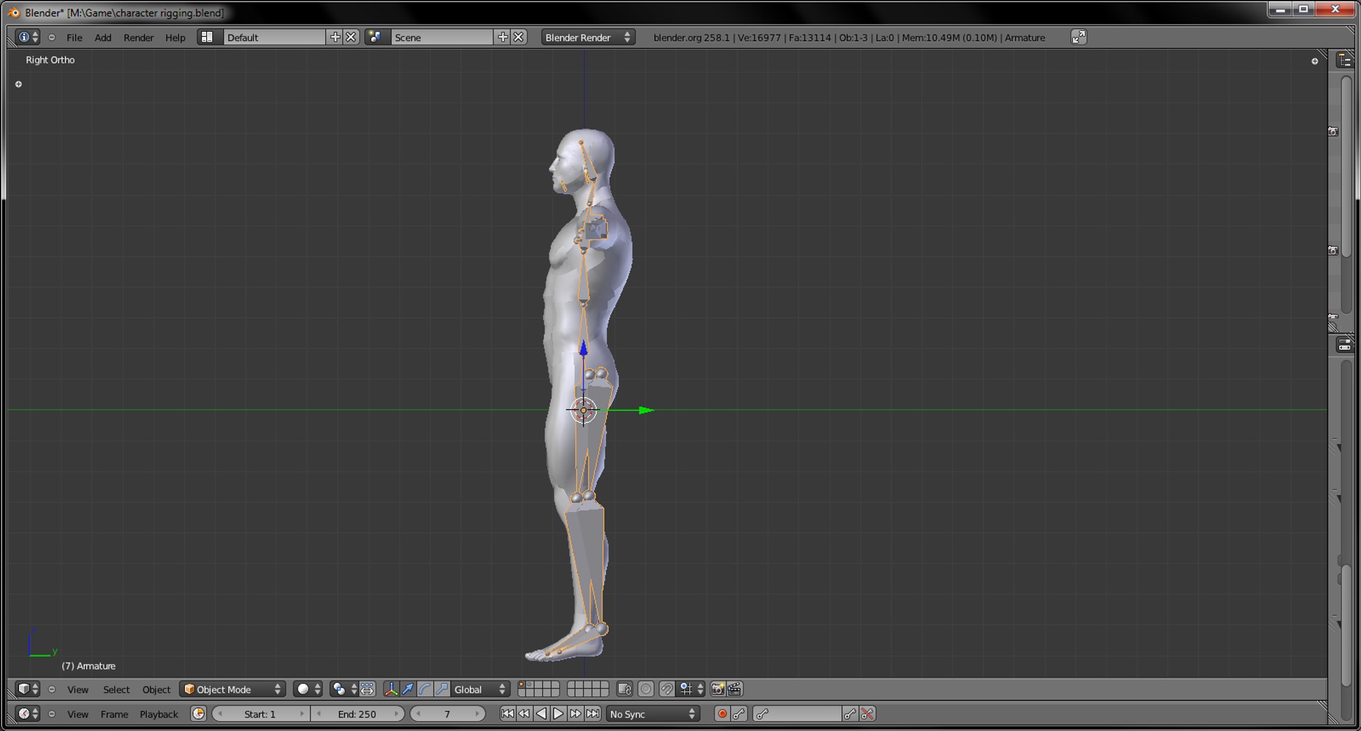 Rigged Guy 3d Model