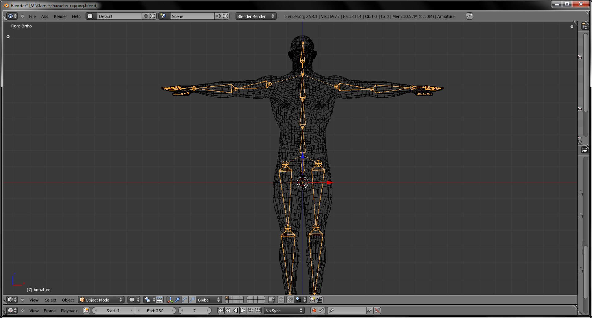 Rigged Guy 3d Model