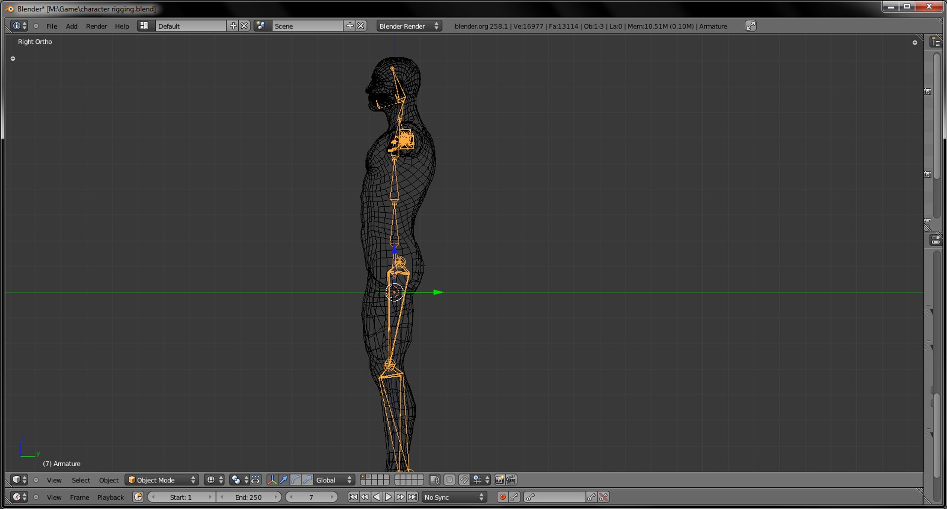 Rigged Guy 3d Model