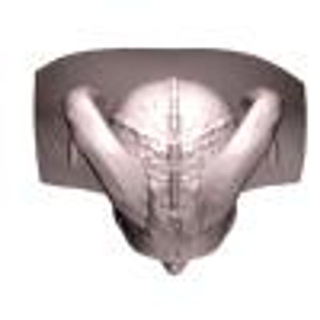 3d devil model https://p.turbosquid.com/ts-thumb/Za/RFrl8s/fYeLzRhi/deviltop/jpg/982193475/1920x1080/fit_q87/e5c66313e0dae15e2108eee9049090c842ef202b/deviltop.jpg
