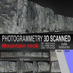 rock scanned model
