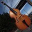 Contrabass