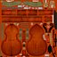 Contrabass