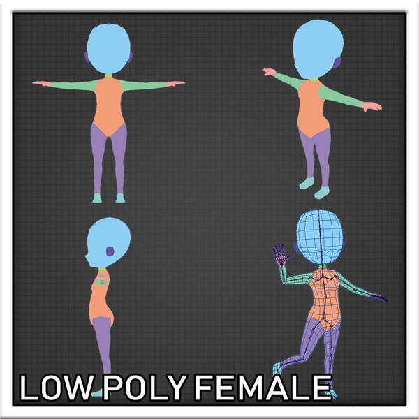 female template 3D model