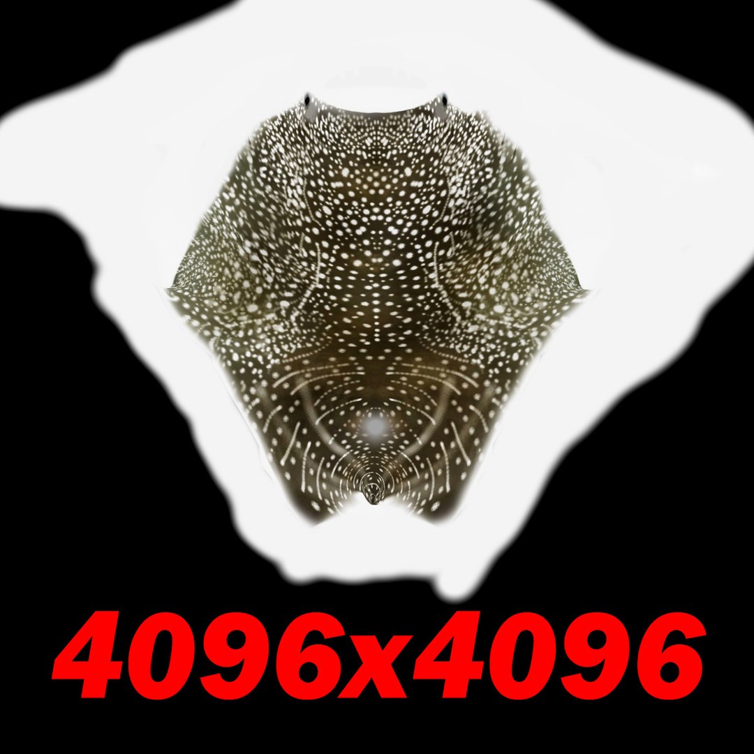 3d 3ds whale shark https://p.turbosquid.com/ts-thumb/Za/pVabdW/wlNC0GnE/whalsharki/jpg/1299106552/1920x1080/fit_q87/17ae34f018c8446a631c0cf291d6d41624f637bc/whalsharki.jpg