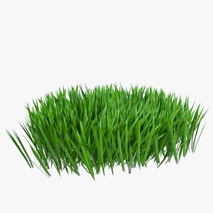 grass weed 1 3D
