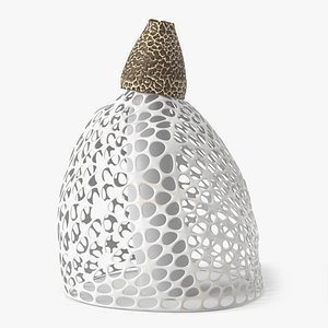 Veiled Lady Mushroom 3D