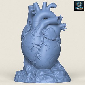 3D Human Heart Sculpture Print Ready 3D Model model