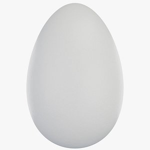 White Chicken Egg