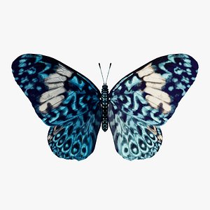 Butterfly Blue Cracker