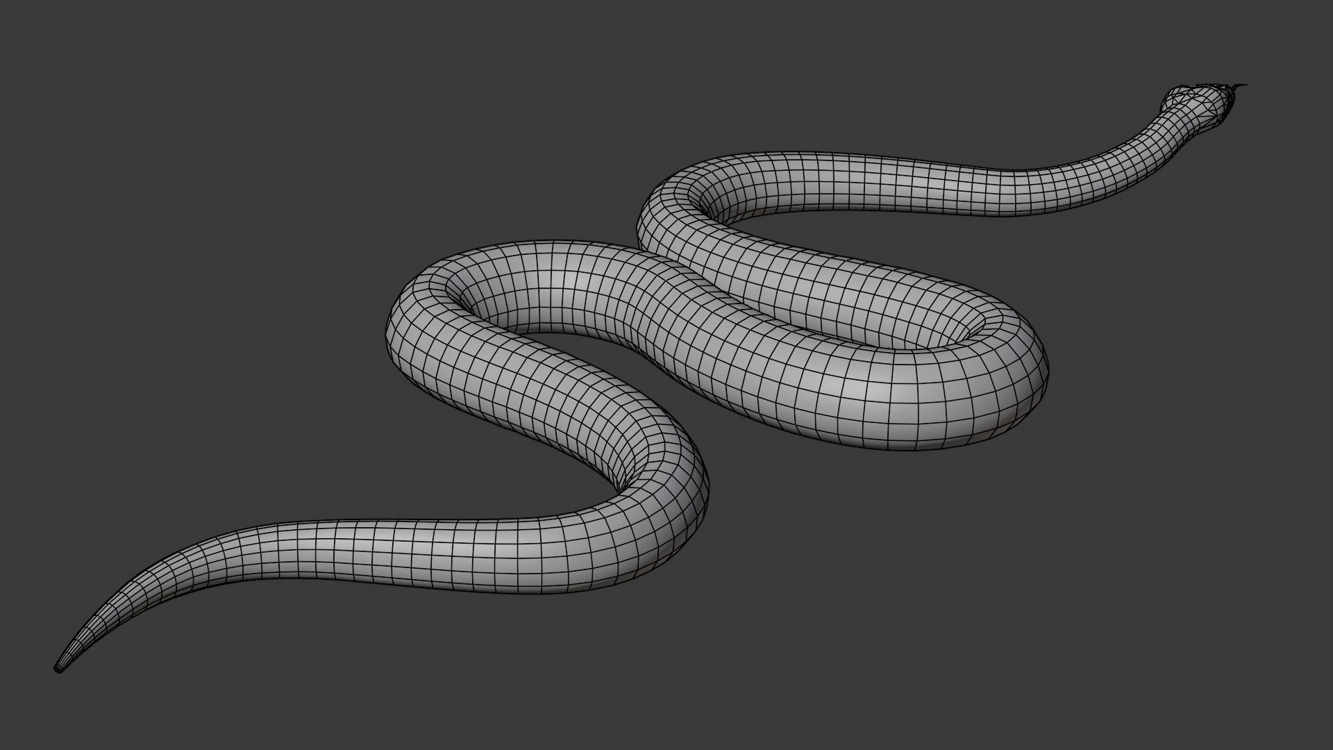Realistic 3D Snake Animations Pack, Elements Motion Graphics ft. 3d &  animation - Envato Elements