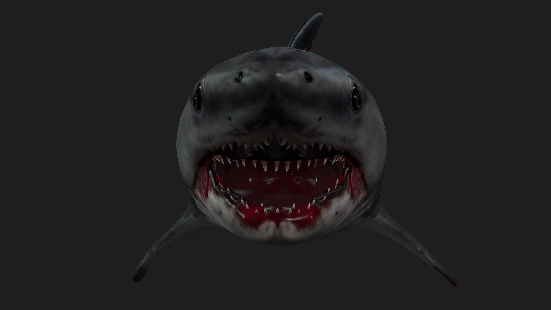 Shark-A2 3D model https://p.turbosquid.com/ts-thumb/Zb/DzcIS8/4H/preview4/jpg/1759115392/1920x1080/fit_q87/e2673d9cabca627d4e4b23c08c0d948d665cbf9c/preview4.jpg