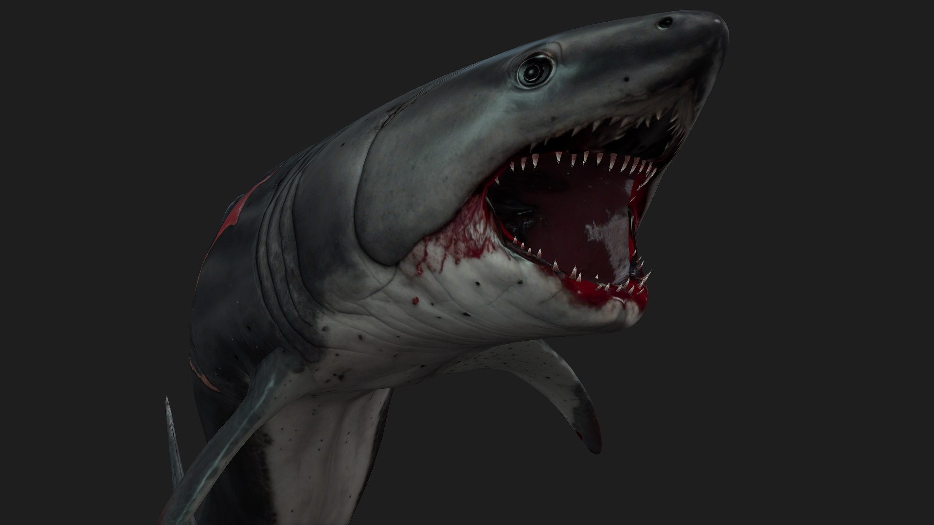 Shark-A2 3D model https://p.turbosquid.com/ts-thumb/Zb/DzcIS8/DK/preview7/jpg/1759115394/1920x1080/fit_q87/504d7ea06f0d39f01ba5776b13a0125bdbe18031/preview7.jpg