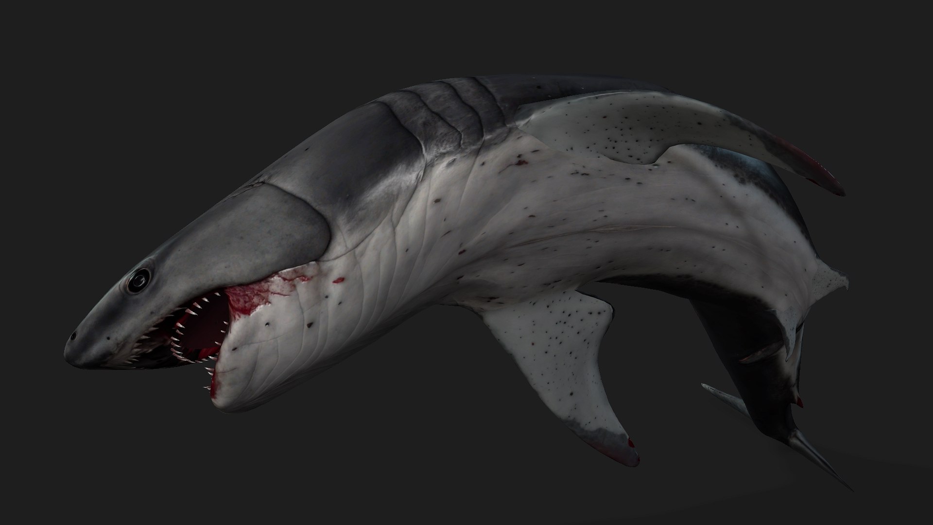 Shark-A2 3D model https://p.turbosquid.com/ts-thumb/Zb/DzcIS8/Jg/preview13/jpg/1759115398/1920x1080/fit_q87/b3f769289db8581f6a2e6c32ee600c4ca223a0b9/preview13.jpg