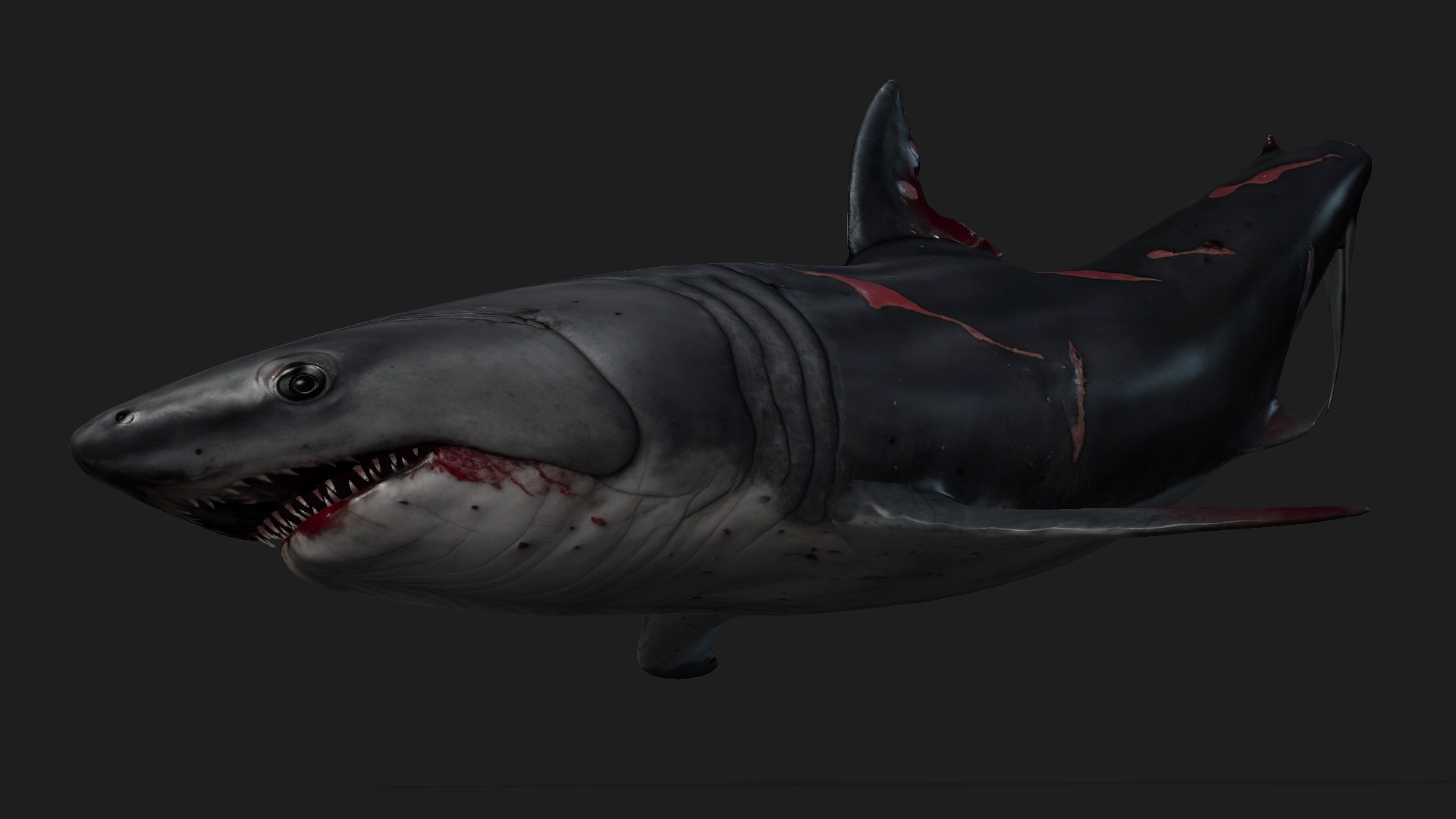 Shark-A2 3D model https://p.turbosquid.com/ts-thumb/Zb/DzcIS8/UB/preview10/jpg/1759115396/1920x1080/fit_q87/8b87f4f7732a797ab66a58e176c81d1fea359659/preview10.jpg