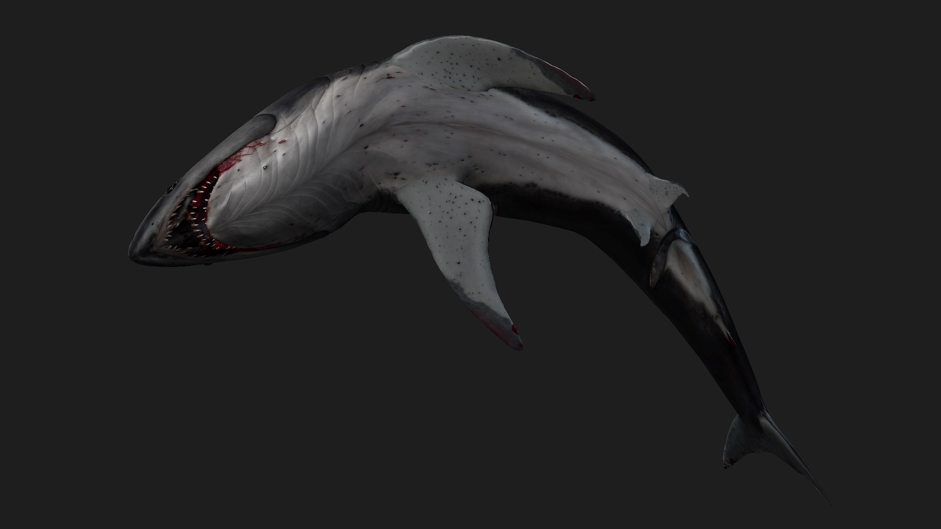 Shark-A2 3D model https://p.turbosquid.com/ts-thumb/Zb/DzcIS8/lp/preview14/jpg/1759115398/1920x1080/fit_q87/1c76a69a53b63c235cc87f82d1dd568fbb793990/preview14.jpg