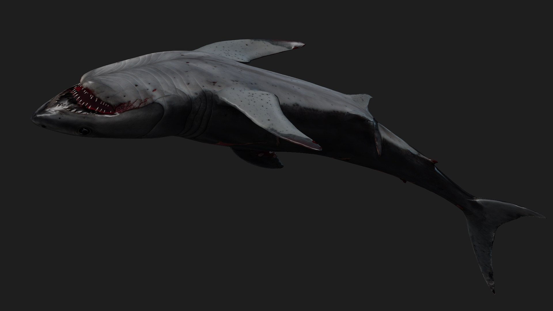 Shark-A2 3D model https://p.turbosquid.com/ts-thumb/Zb/DzcIS8/wF/preview15/jpg/1759115399/1920x1080/fit_q87/760eaab0d9f16ea94e195fcb6ef8522d37e51092/preview15.jpg