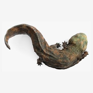 Aquatic Salamander Light Wet Rigged for Cinema 4D