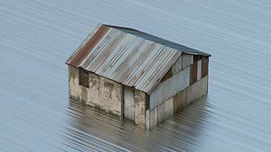 Rustic shed house