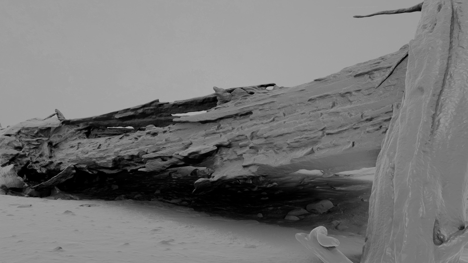 3D Dead Tree 015 - TurboSquid 2370891