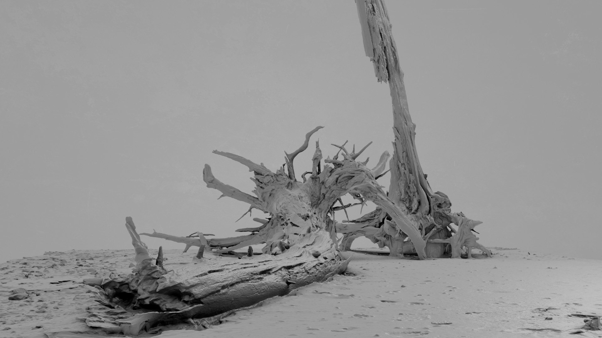 3D Dead Tree 015 - TurboSquid 2370891
