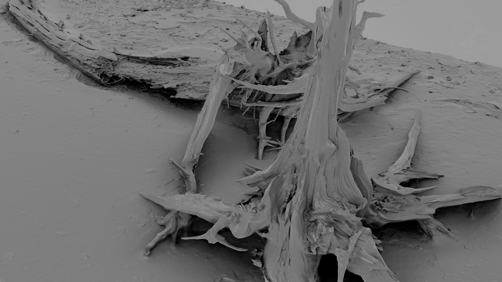 3D Dead Tree 015 - TurboSquid 2370891