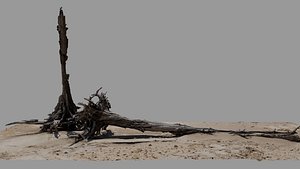 Dead Tree 015