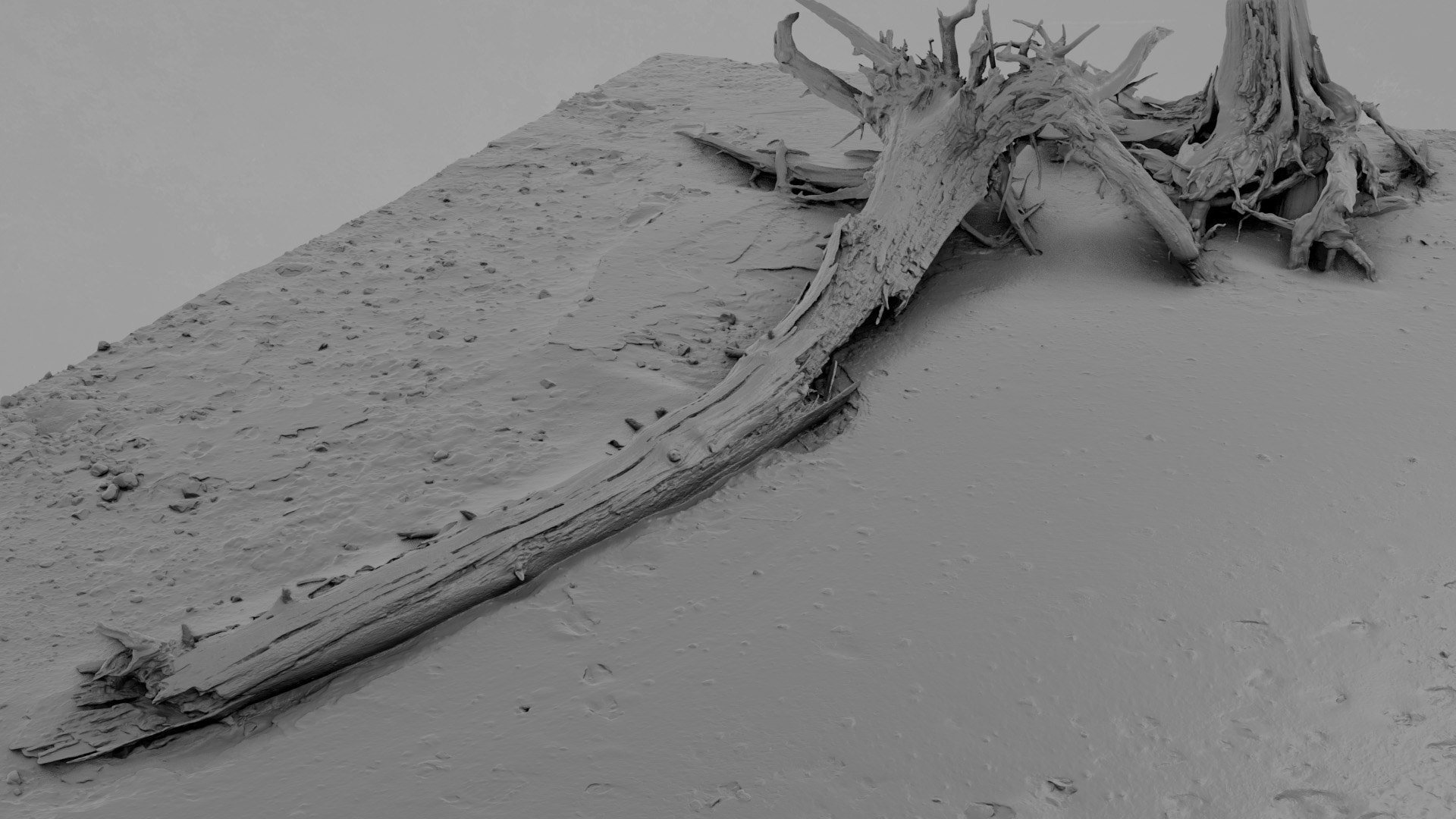 3D Dead Tree 015 - TurboSquid 2370891
