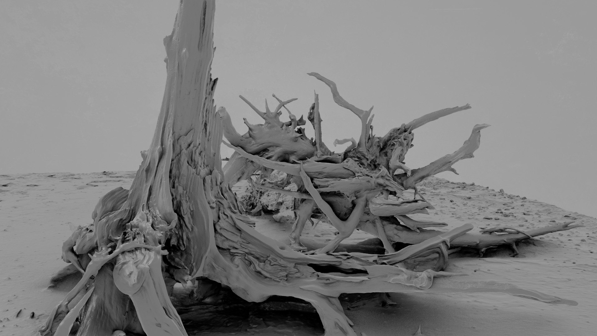 3D Dead Tree 015 - TurboSquid 2370891