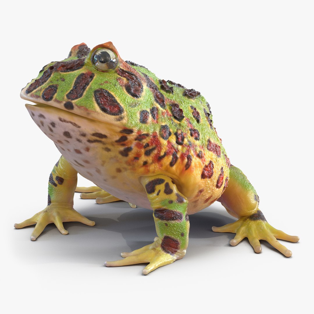 Pacman Frog Pose 3 3D Model 3D model preview