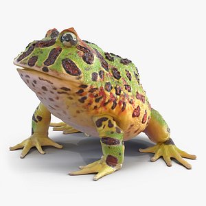 pacman frog pose 3 3d model