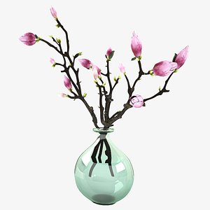 3d model of magnolia vase