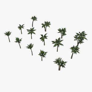 3D palm trees