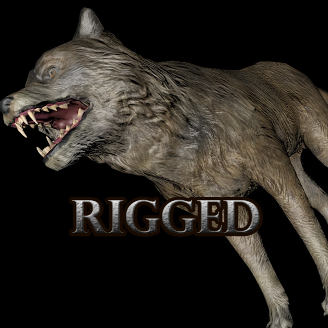 3D Model Wolf Rig - TurboSquid 1386562