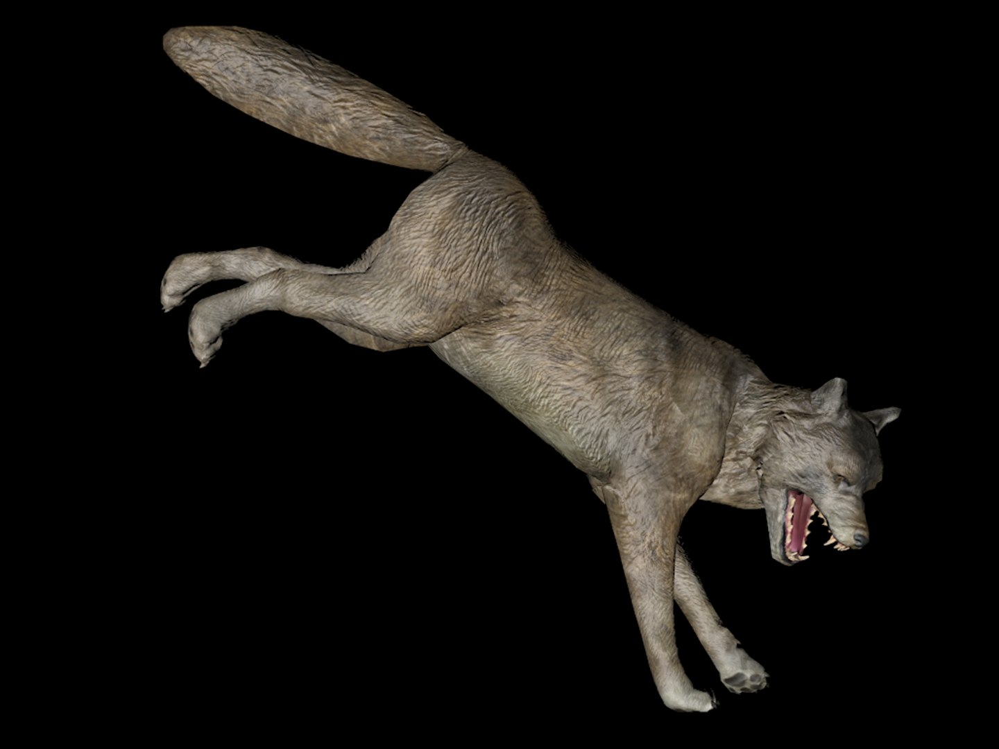 3D Model Wolf Rig - TurboSquid 1386562