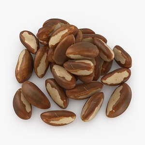 3D Brazil Nuts Pile model