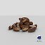 Brazil Nuts Pile