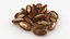 Brazil Nuts Pile