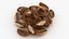 Brazil Nuts Pile