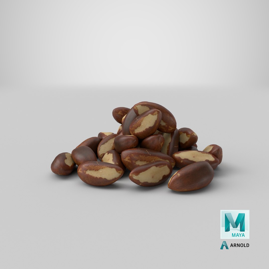 3D Brazil Nuts Pile model https://p.turbosquid.com/ts-thumb/Zc/PNSiy2/qO/stemcell_maya_arnold_render/png/1669185050/1920x1080/fit_q87/703c2693c6eee9fa3324f78977d126cf0a5c639d/stemcell_maya_arnold_render.jpg