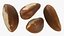 Brazil Nuts Pile
