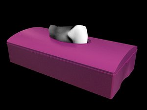 tissue box 3ds