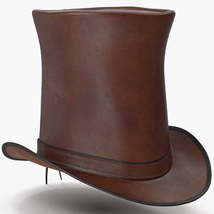 3D Leather Top Hat Brown v 4