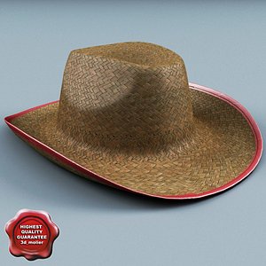 3d straw cowboy hat model