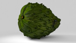 photogrammetry cherimoya fruit 3D model