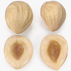 Hazelnuts