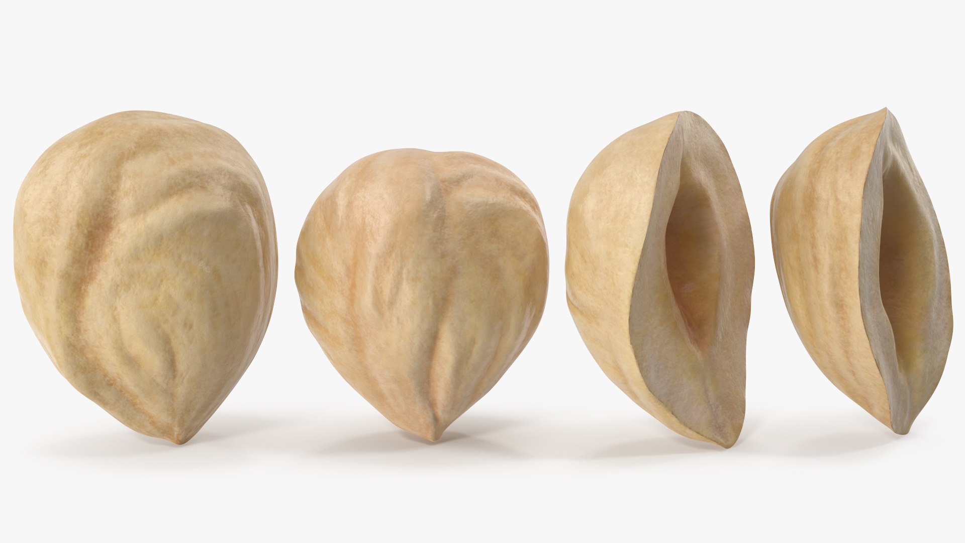 3D Hazelnuts https://p.turbosquid.com/ts-thumb/Zd/6pTv0O/JT/angles_06/jpg/1643386589/1920x1080/fit_q87/9b004432f6aaa1e284a78fc942246f93ec84470b/angles_06.jpg
