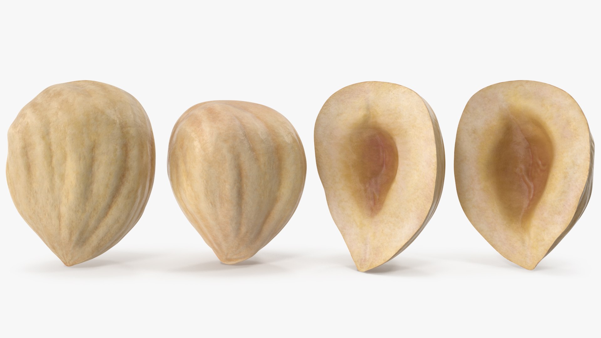 3D Hazelnuts https://p.turbosquid.com/ts-thumb/Zd/6pTv0O/TR/angles_05/jpg/1643386582/1920x1080/fit_q87/34bd9e302b11961892cf1e4cf292561bf048e6aa/angles_05.jpg