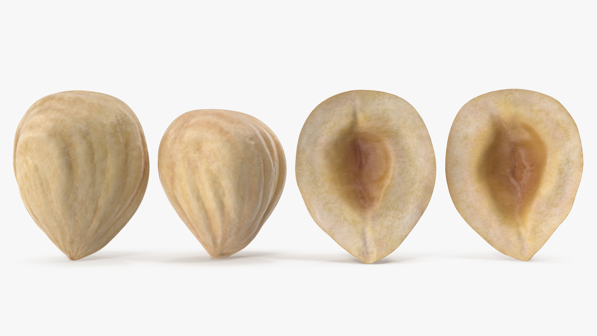 3D Hazelnuts https://p.turbosquid.com/ts-thumb/Zd/6pTv0O/Wd/turntable/jpg/1643386011/1920x1080/turn_fit_q99/d74da550f59b8e600ad43c9234e025c2ec857315/turntable-1.jpg