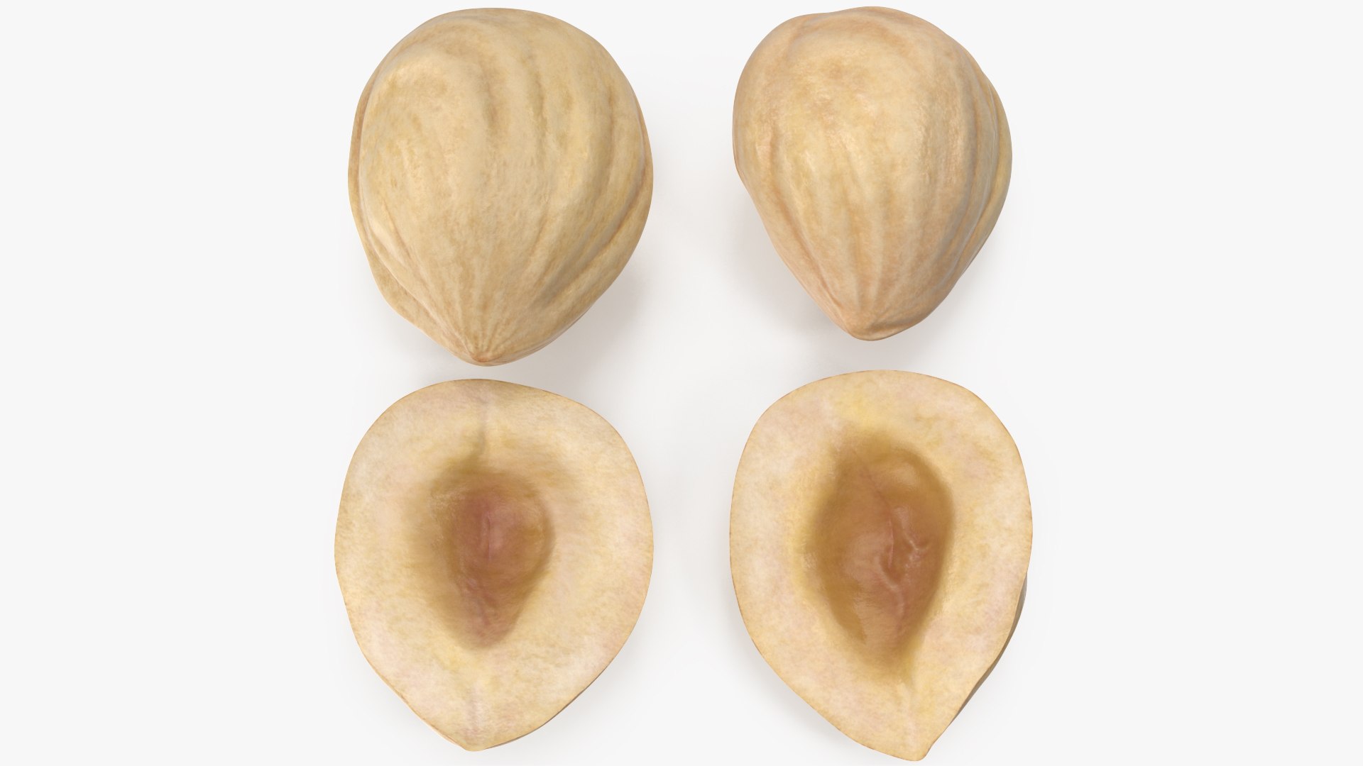 3D Hazelnuts https://p.turbosquid.com/ts-thumb/Zd/6pTv0O/Zp/angles_00/jpg/1643386488/1920x1080/fit_q87/92717a7d72646ba2733130be444766e79f364c9d/angles_00.jpg